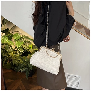Detail of white woven shell bag featuring gold clasp and elegant metal chain strap