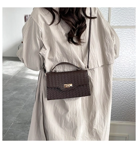 Detail of dark brown woven handbag with gold clasp worn over a beige trench coat