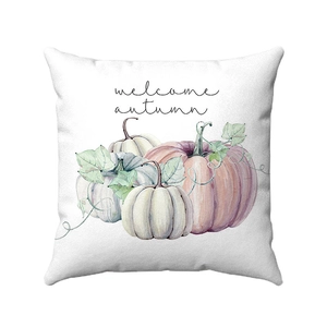 Dettaglio di un morbido cuscino del Ringraziamento con zucche e testo Welcome Autumn