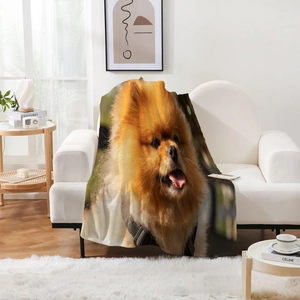 Détail d'une couverture moelleuse en flanelle avec impression numérique de chien Loulou
