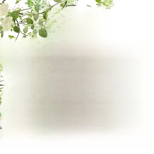 Detail of PET material butterfly headband for parties with size and feature specifications
