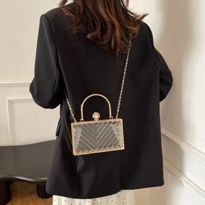 Transparente Acryl-Abendtasche mit V-Muster, Goldgriff, präsentiert von einem Model