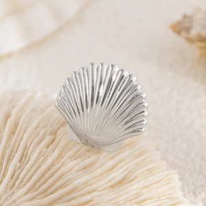 Macro detail of a polished silver scallop shell earring on a natural coral display