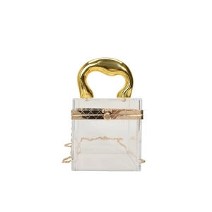 Chic transparent acrylic box clutch with gold metal handle and chain strap for evening