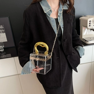 Detail of transparent acrylic cube bag with bold gold handle and chain shoulder strap
