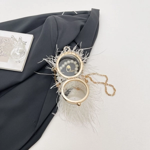 Detailed close-up of transparent clutch featuring white ostrich feathers and gold trim