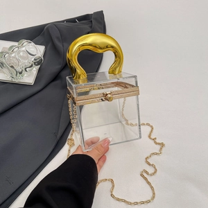 Mini transparent acrylic cylinder box bag with gold metal handle and chain strap for women