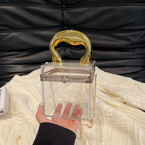 Detail view of a clear acrylic box bag featuring a sculptural gold handle and ball clasp