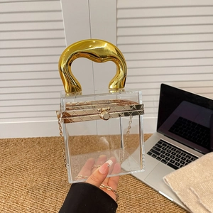 Mini acrylic cylinder box bag with wavy gold handle and chain strap for women