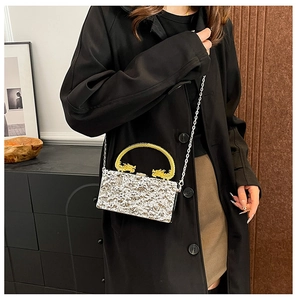 Detail of silver textured acrylic box bag with golden dragon handle and chain strap
