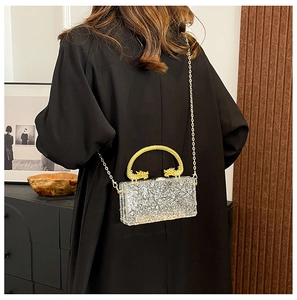 Detail of clear acrylic clutch bag with golden dragon handles and metallic chain