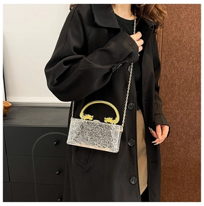 Detailed view of clear acrylic clutch bag featuring golden dragon handles and chain