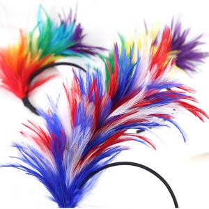 Detailed close-up of colorful carnival feather headbands with vibrant plumage texture
