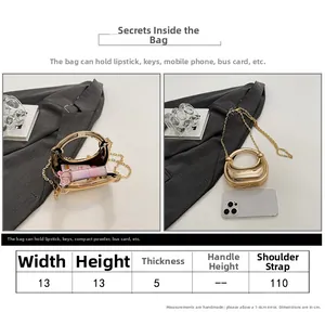 Size chart showing 13cm width and 110cm chain strap for the mini mirror finish handbag
