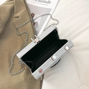 Detail of silver camera-shaped crossbody bag with snakeskin texture and metal chain