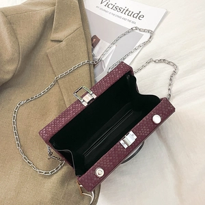 Detail of burgundy snakeskin crossbody bag showing silver chain strap and inner lining