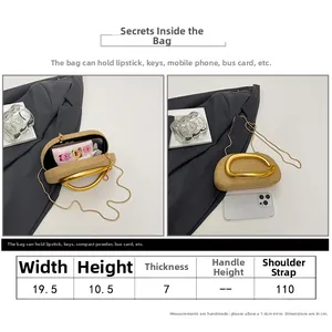 Size chart and capacity detail for woven evening clutch with gold metal handle and chain