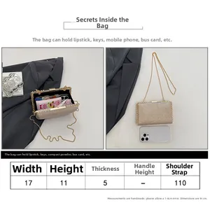 Size guide for gold sequin clutch bag showing dimensions 17x11x5cm and capacity details
