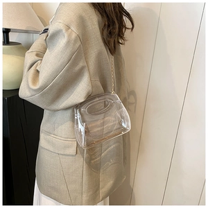 Chic transparent acrylic handbag with golden chain strap on a stylish model