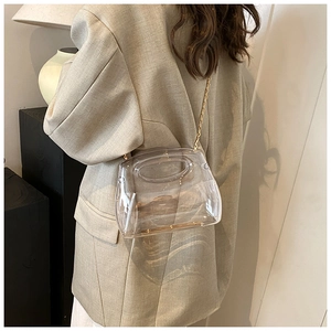 Transparent acrylic crossbody bag with gold chain strap shown on model's shoulder