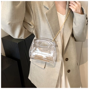 Detailed close-up of a transparent PVC handbag with a fine gold metal chain strap