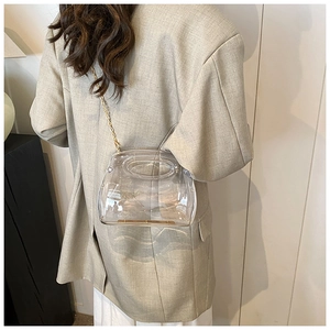 Detail of transparent acrylic handbag with gold metal chain strap and oval handle cutout