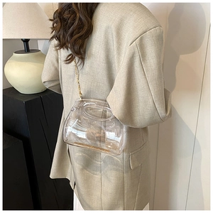 Detailed back view of transparent acrylic crossbody bag with gold chain and handle