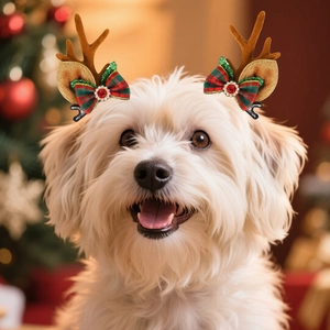 Cute white puppy wearing reindeer antler hair clips with festive Christmas tree background