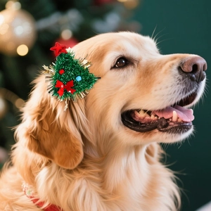 Close-up of a festive Christmas tree pet hair clip with a red star on a golden retriever