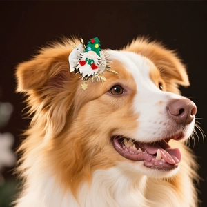 Christmas Santa pet hair clip with net yarn and tinsel on a Border Collie dog