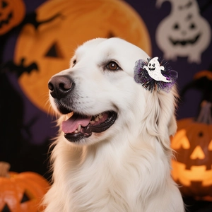 Fermaglio per cani a forma di fantasma glitterato con pizzo per Halloween