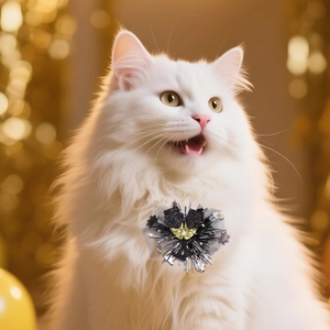 Pince à cheveux de Nouvel An pour animaux avec guirlandes noires et dorées et étoiles