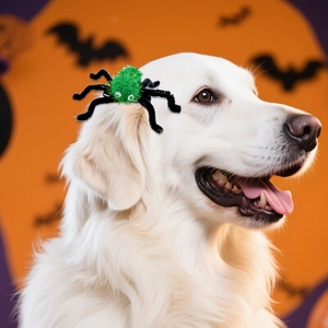 Funny green spider pet hair clip for dogs and cats Halloween party costume decoration