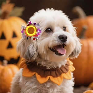 Detail of sunflower dog bandana and sequined hair clip for pet Thanksgiving party