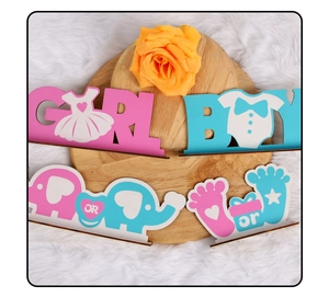 Detail view of wooden gender reveal table signs with boy or girl elephant designs
