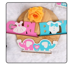 Detail of gender reveal party wooden decor with blue boy and pink girl elephant signs