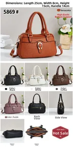 Detailed view of crocodile pattern handbag with gold horseshoe buckle and size dimensions