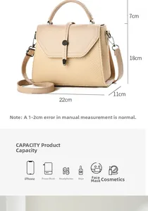Detailed size chart of beige crossbody bag showing dimensions 22x18x11cm and capacity