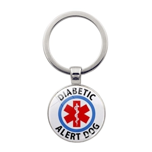 Porte-clés chien d'alerte diabétique argenté avec cabochon médical étoile de vie