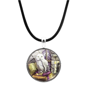 Chouette Sur Livres De Magie Collier Pendentif Rond Cabochon En Verre Alliage De Zinc Style Fantaisie Cordon Cuir Noir