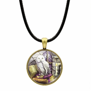Collier avec pendentif en verre chouette et livres magiques en bronze antique
