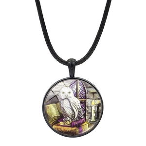 Pendentif chouette magique sur vieux livres avec cordon noir tressé et cabochon en verre