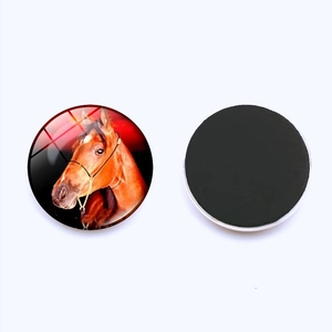 Macro detail of round glass horse fridge magnets showing front design and back magnetic base