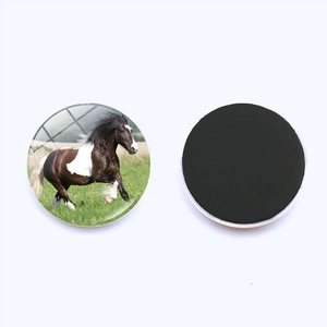 Running horse glass refrigerator magnet 25mm with strong magnetic back for whiteboard