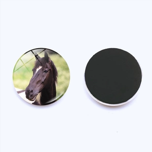 Running horse glass refrigerator magnet with 25mm round magnetic crystal backing