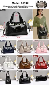 Detailed view of crocodile pattern leather handbag showing various colors and dimensions