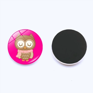 Front and back detail of 30mm cute owl glass fridge magnet with magnetic backing