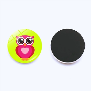 Round 30mm glass refrigerator magnet featuring a colorful cartoon owl with magnetic back