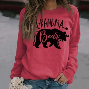 Macro detail of the Grandma Bear text print and bear silhouette on the red sweatshirt