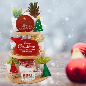 Three-tier wooden tiered tray with Christmas succulent pots and festive holiday decorations